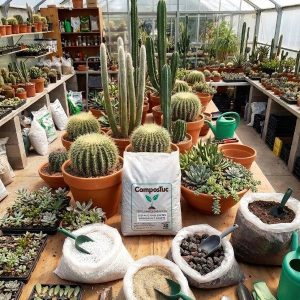 sustrato para cactus y suculentas x 25 dm