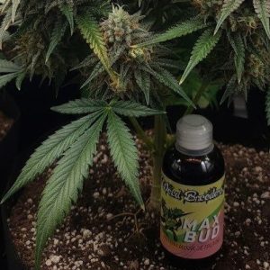 max bud x 250 cc weed breeders