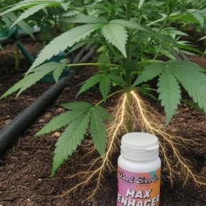 weed breeders max enhacer x 160 gs.