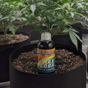 max flora x 250 cc weed breeders
