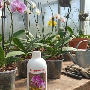 fertilizante para orquídeas