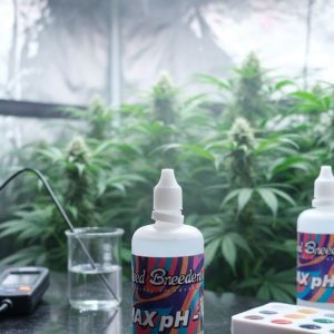 regulador de ph (ph down) x 100cc