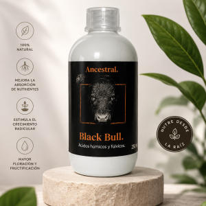 blackbull1