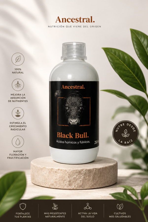 blackbull1