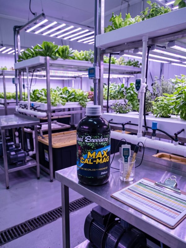 whatsapp image 2026 09 11 at 15.07.33 whatsapp image 2026 09 11 at 15.07.33